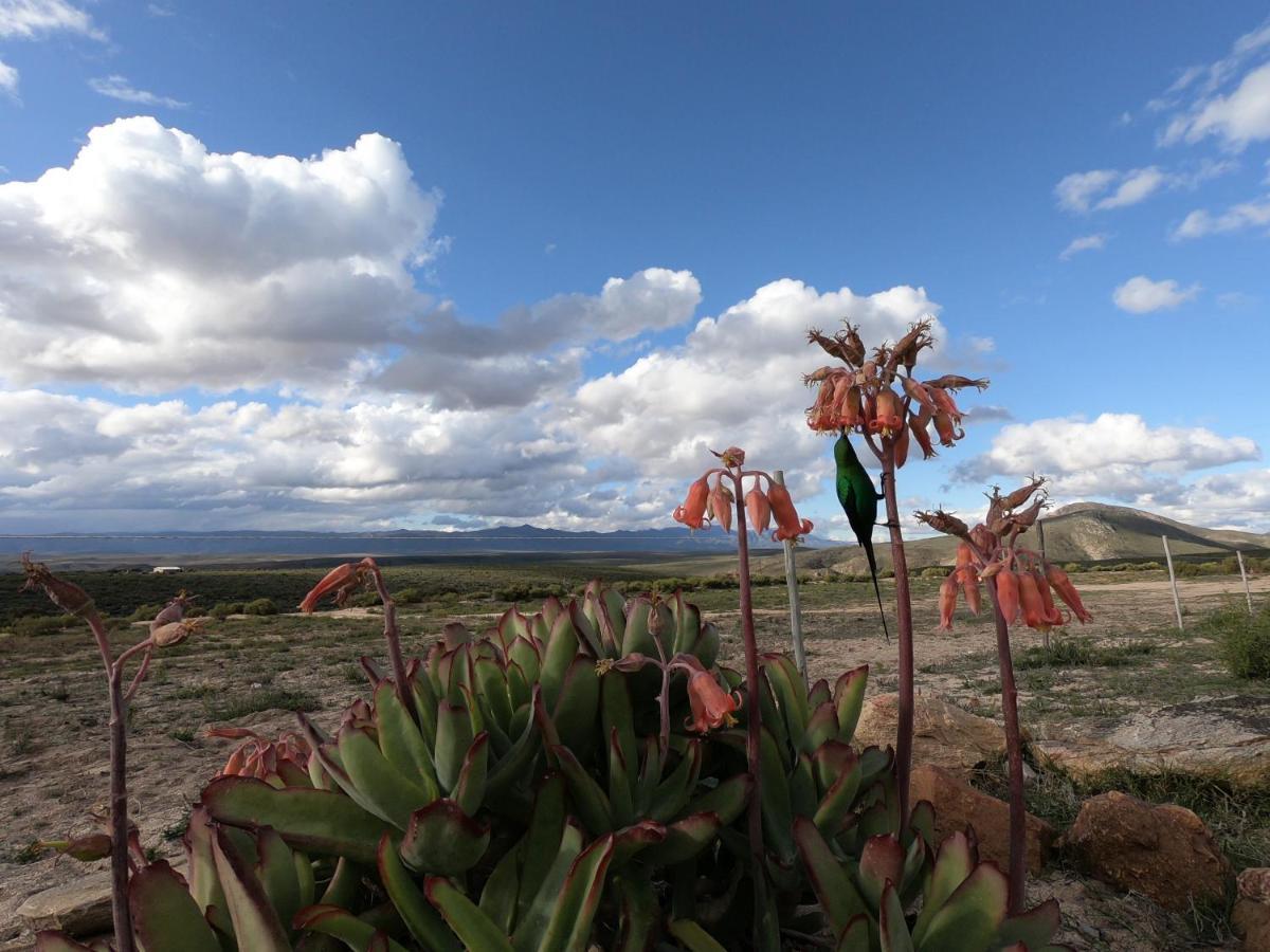 Breathe Accommodation Oudtshoorn Exterior foto