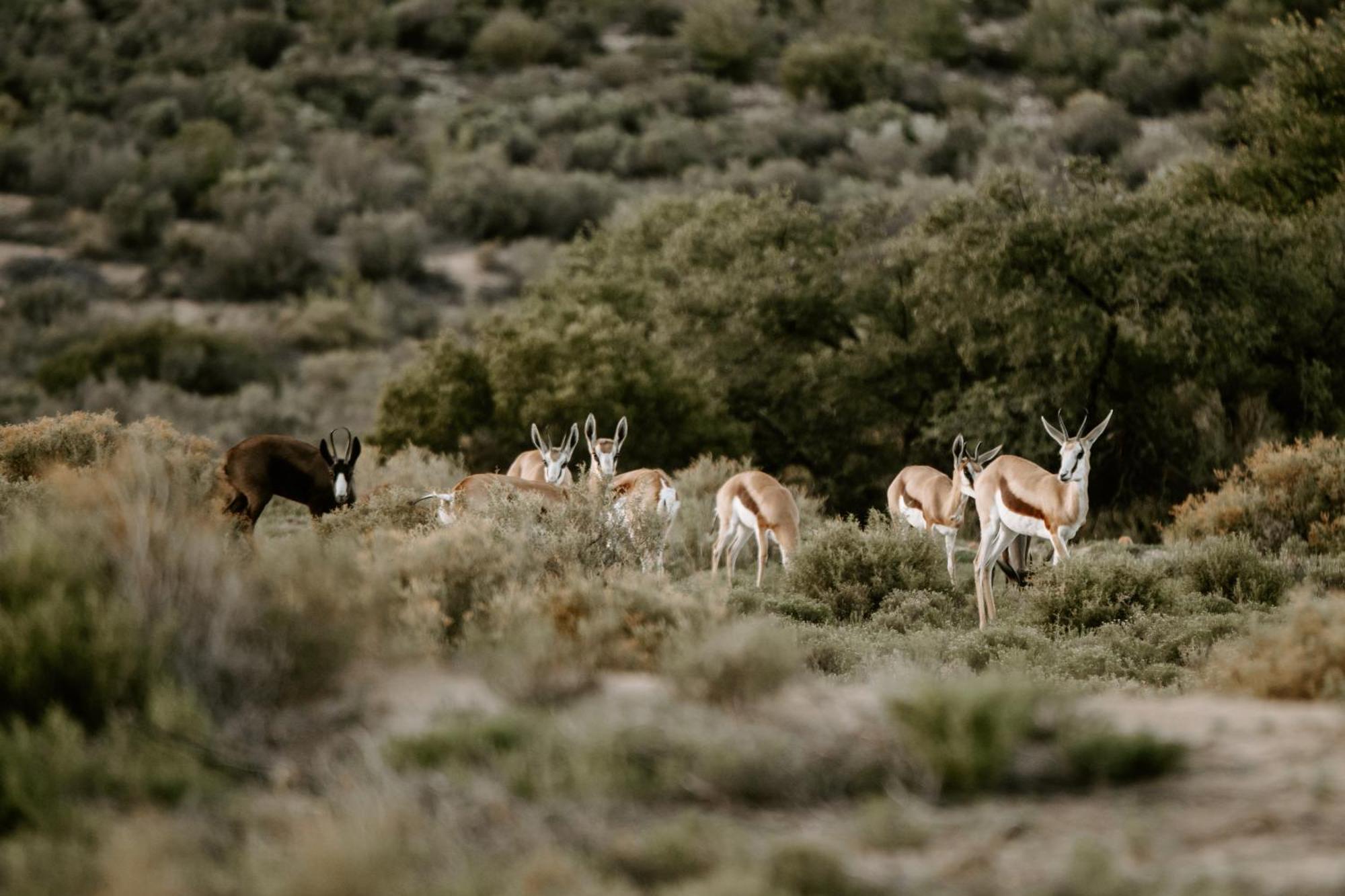 Breathe Accommodation Oudtshoorn Exterior foto